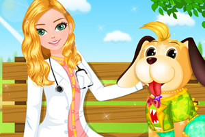 医生护理宠物