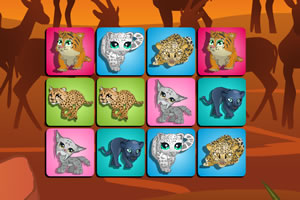猫科动物记忆游戏