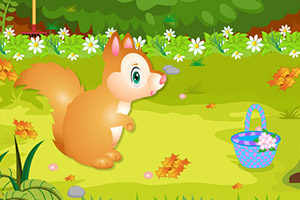 照顾可爱小松鼠