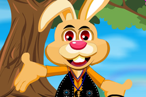 爱美的兔子先生