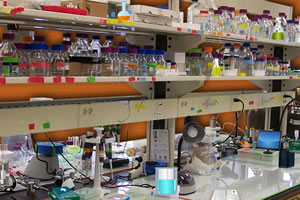 化学实验室找东西