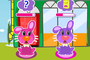 可爱宠物护理店