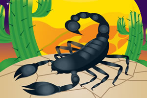 寻找隐藏的蝎子