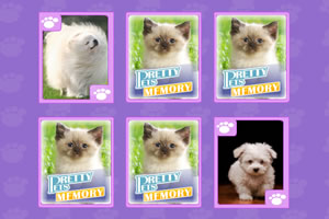 漂亮宠物记忆卡牌