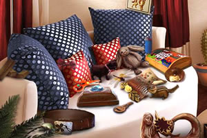 搜索神秘的房子