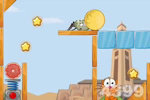 小猫环游非洲选关版