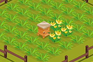 亚米拉的蜂蜜花园