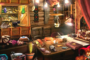 曾经的理想小院