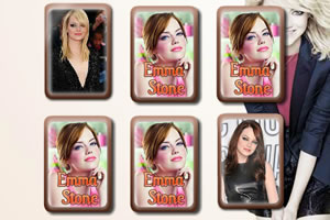 艾玛斯通记忆卡