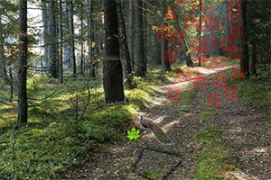 小兔子逃出森林