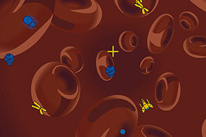 显微镜下小战争