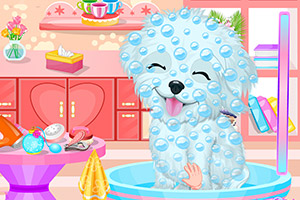 可爱小狗的神奇护理