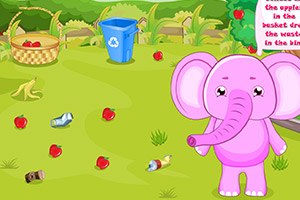 金宝的日常护理