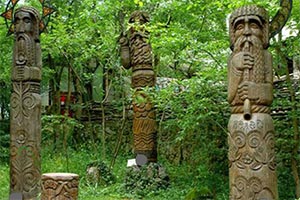 危险的森林逃脱