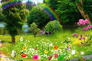 寻找四季画廊的秘密