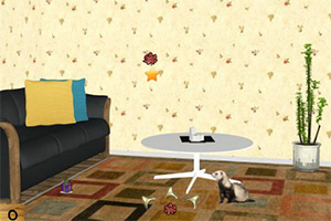 可爱雪貂的逃脱