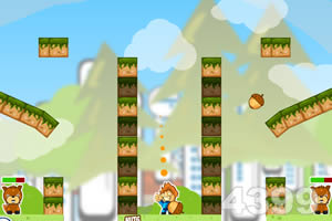 给小松鼠吃松果