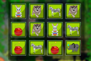 动物记忆卡里的炸弹