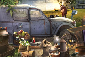 中西部的奇怪案