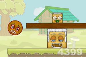 我的年龄我做主无敌版