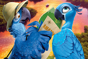 蓝色鹦鹉拼图
