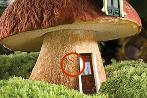 蘑菇小屋找星星