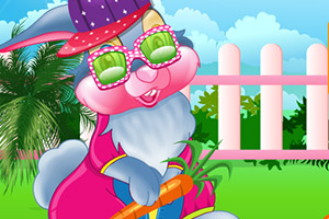 护理小兔子桑普