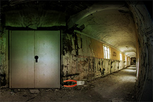 逃出被遗弃的别墅