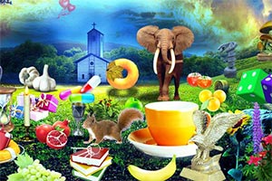 旷野的大地找东西