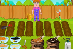 小佐伊的感恩节招待