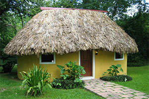 大侦探水晶猎人