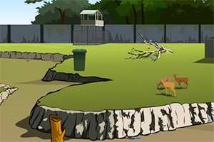 逃出封闭动物园