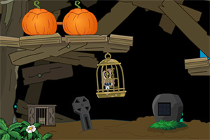 被困的猫头鹰逃生