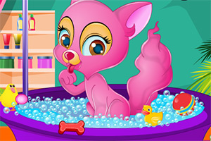 照顾可爱的喵星人