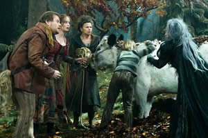 魔法黑森林找东西