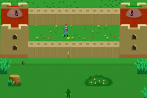 国王的神秘宝藏