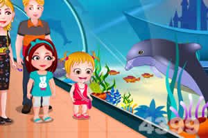 可爱宝贝海豚表演