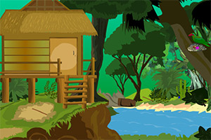 逃出亚马逊森林