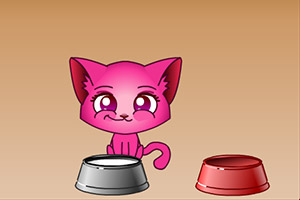 我的可爱小猫咪