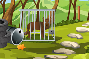 灰熊的爱情逃脱3