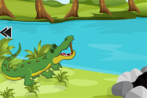 灰熊的爱情逃脱5