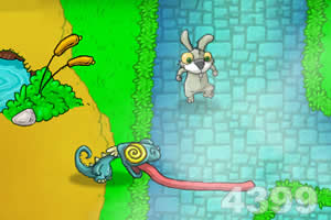 兔宝的萝卜大餐