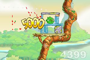 愤怒的小鸟思黛拉