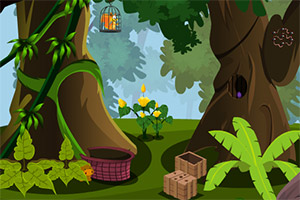 救出笼中的松鼠