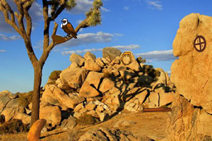 荒凉的逃生之旅