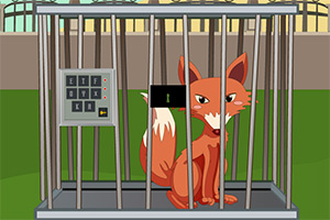 郊外动物园逃脱4