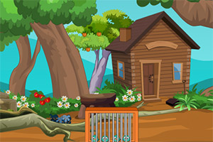 蓝鸟逃离猎人牢笼