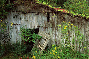 神秘的爱尔兰逃脱