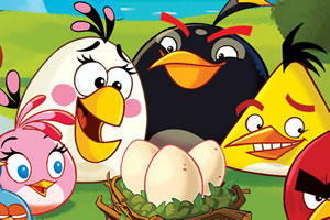 观察愤怒小鸟图片