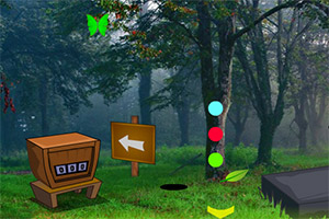 动物逃离危险森林